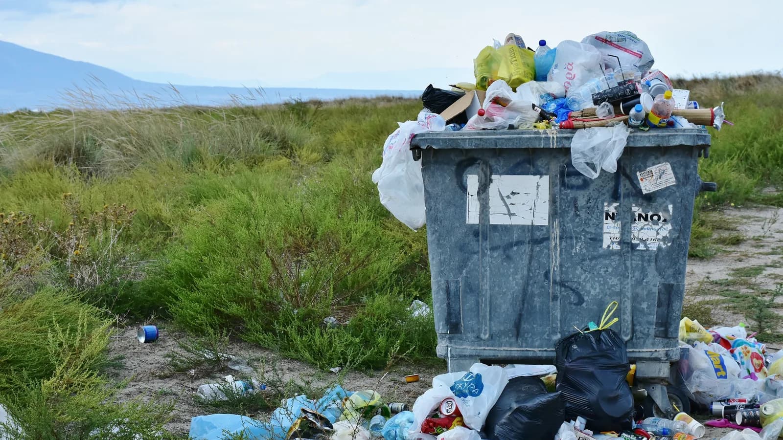 Overflowing waste container on grassland